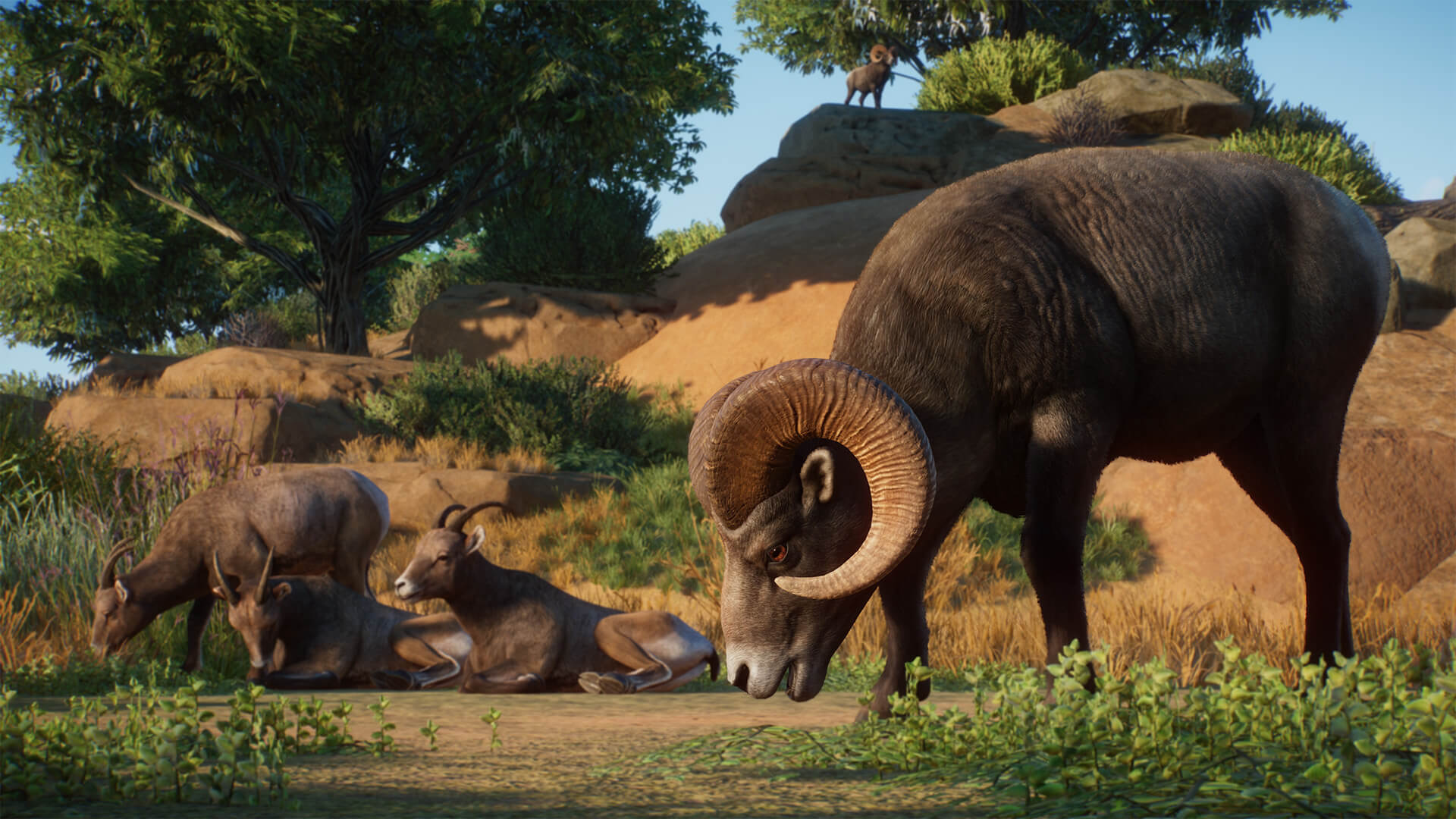 Picture of Planet Zoo: Americas Animal Pack Picture of Planet Zoo: Americas Animal Pack
