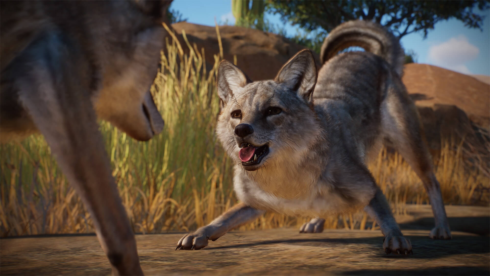 Picture of Planet Zoo: Americas Animal Pack Picture of Planet Zoo: Americas Animal Pack