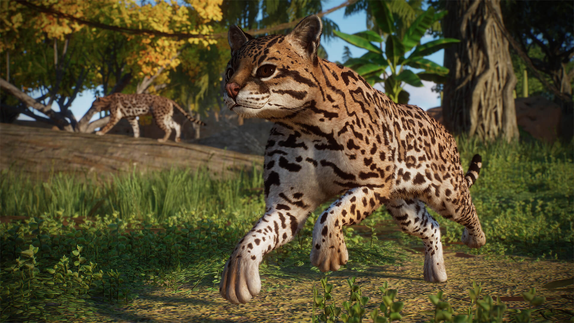 Picture of Planet Zoo: Americas Animal Pack Picture of Planet Zoo: Americas Animal Pack