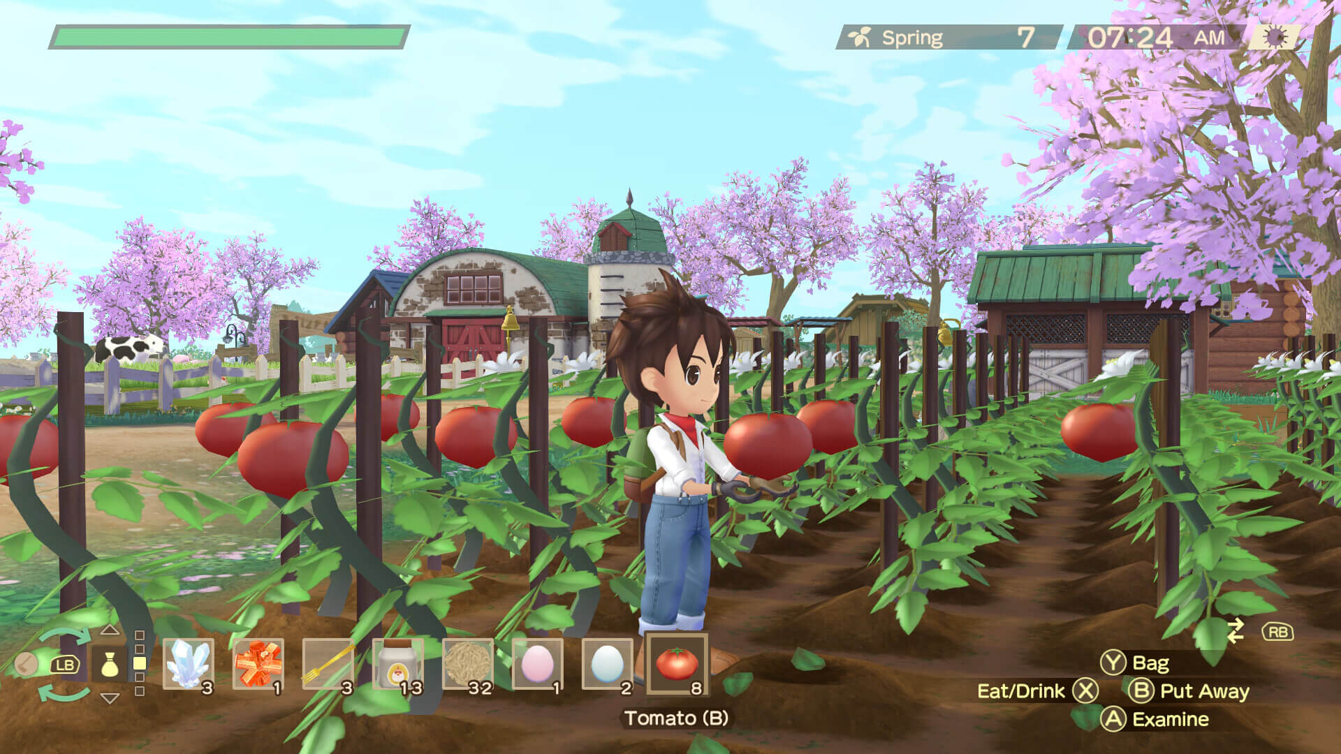 Picture of STORY OF SEASONS: A Wonderful Life Picture of STORY OF SEASONS: A Wonderful Life
