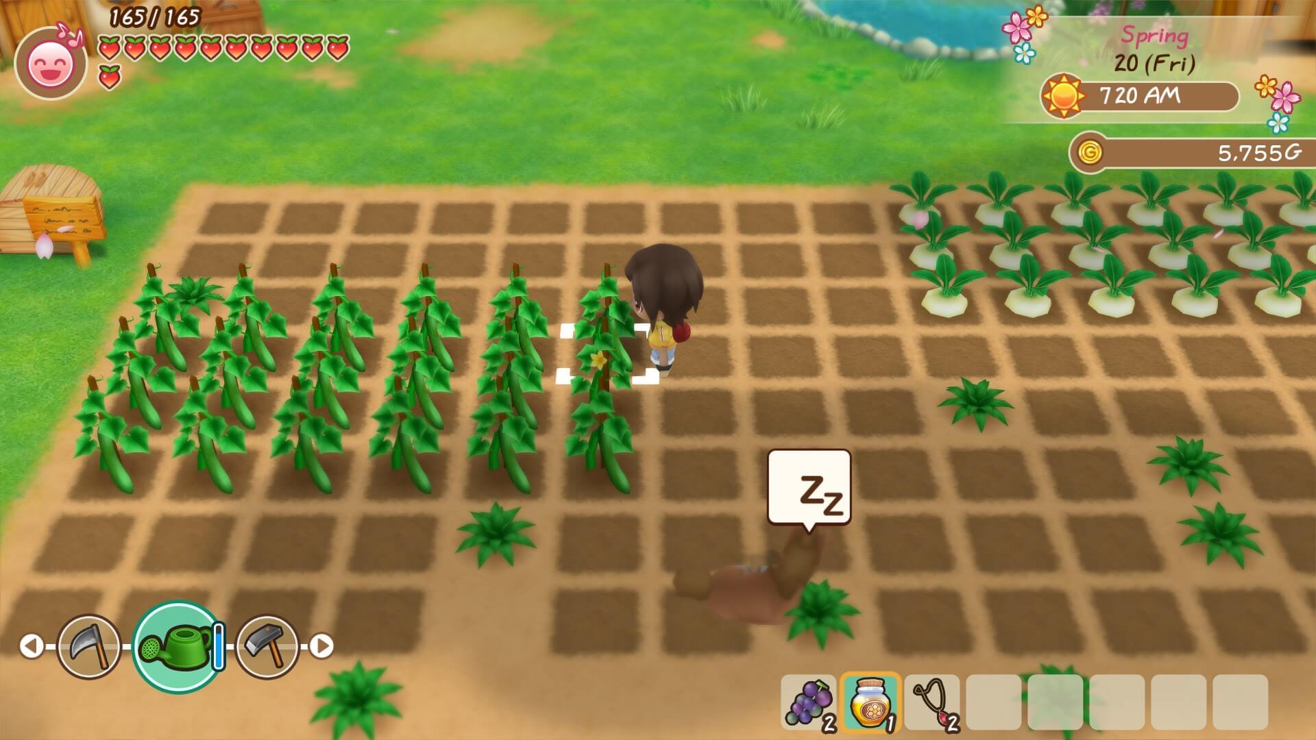 Picture of STORY OF SEASONS: Friends of Mineral Town Picture of STORY OF SEASONS: Friends of Mineral Town