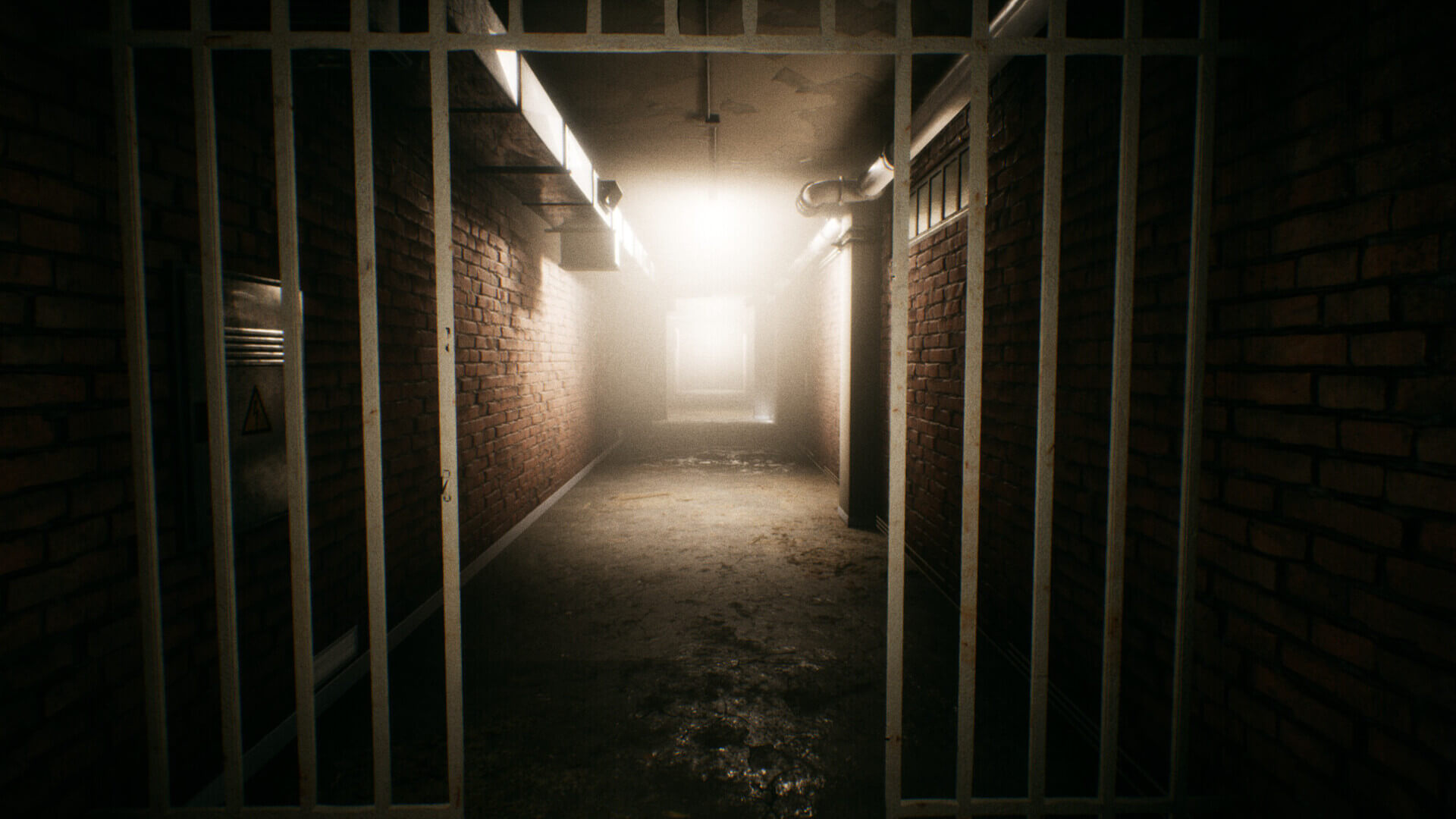 Picture of Escape the Backrooms Picture of Escape the Backrooms