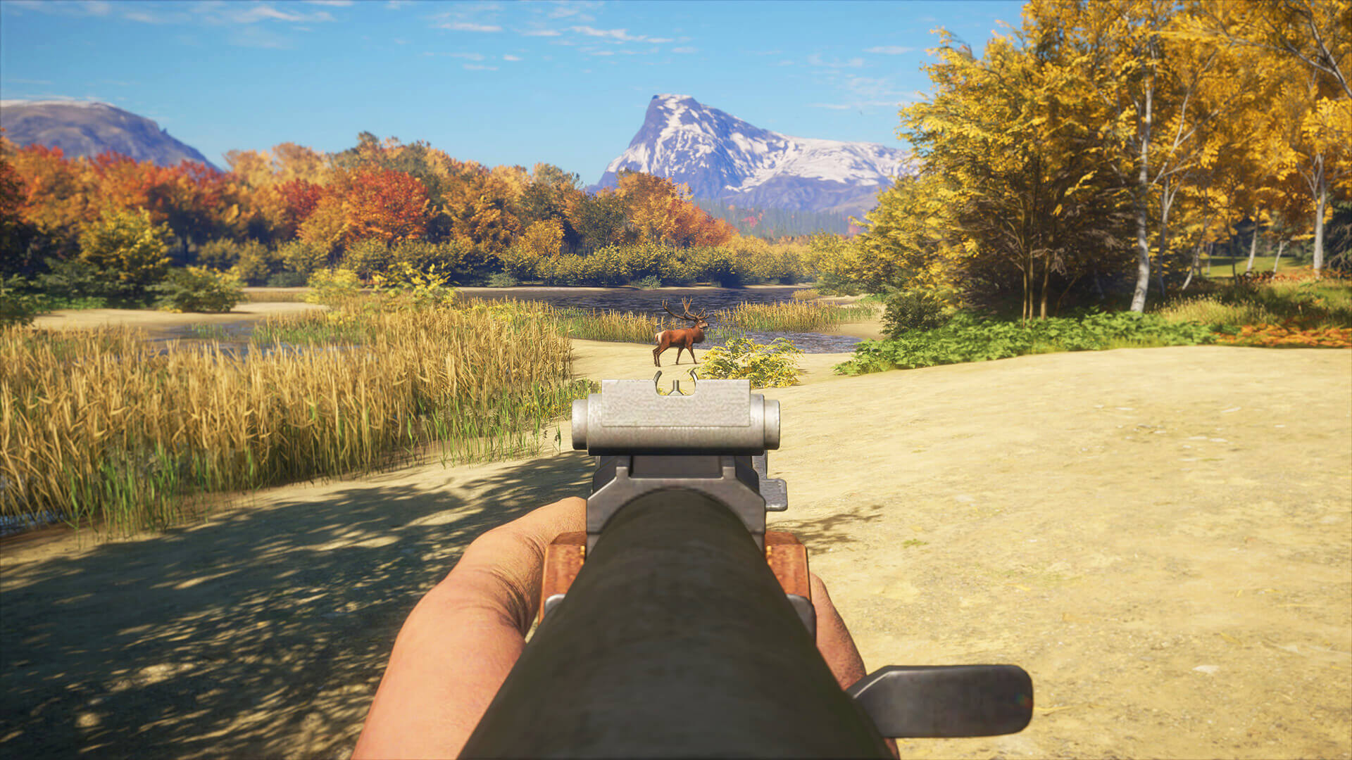 Picture of theHunter: Call of the Wild™ - Rapid Hunt Rifle Pack