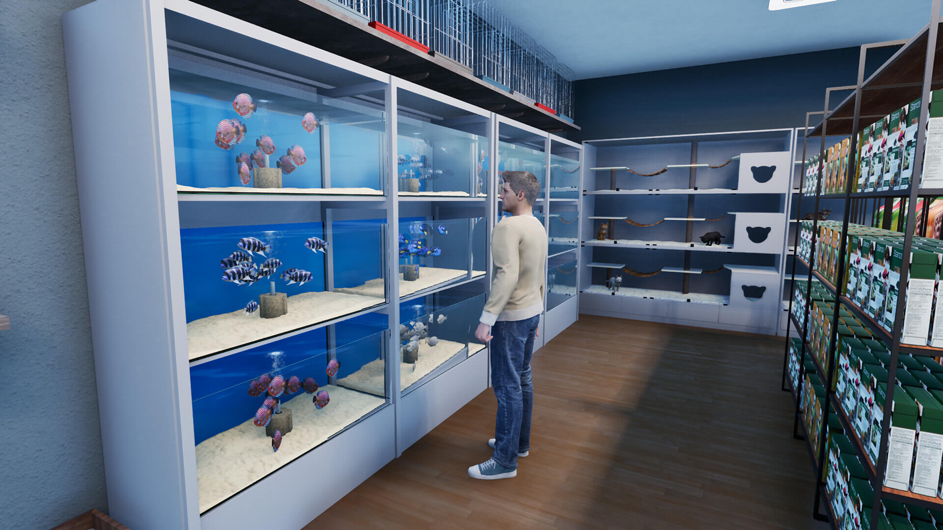 Picture of Exotica 2: Pet Shop Simulator Picture of Exotica 2: Pet Shop Simulator