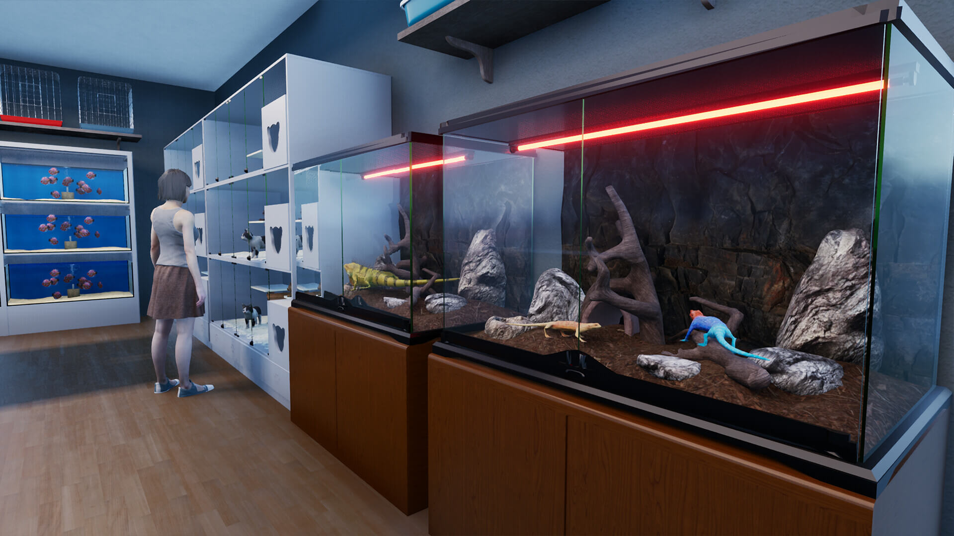 Picture of Exotica 2: Pet Shop Simulator Picture of Exotica 2: Pet Shop Simulator