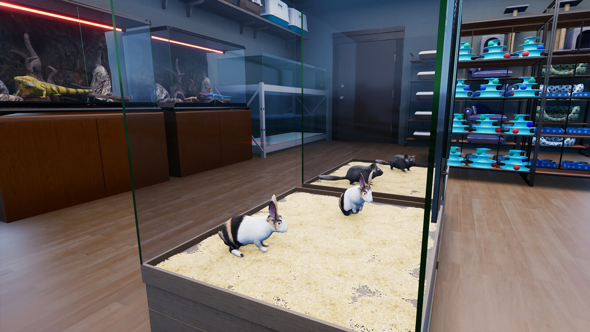 Picture of Exotica 2: Pet Shop Simulator Picture of Exotica 2: Pet Shop Simulator