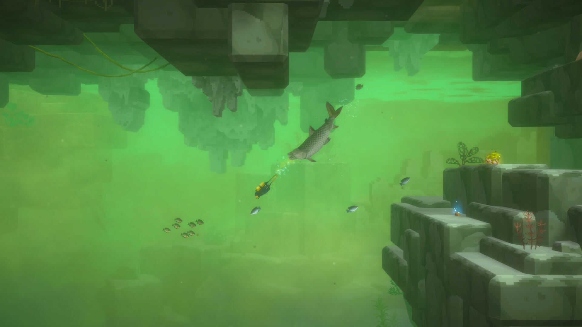 Picture of DAVE THE DIVER - In the Jungle Content Pack Picture of DAVE THE DIVER - In the Jungle Content Pack
