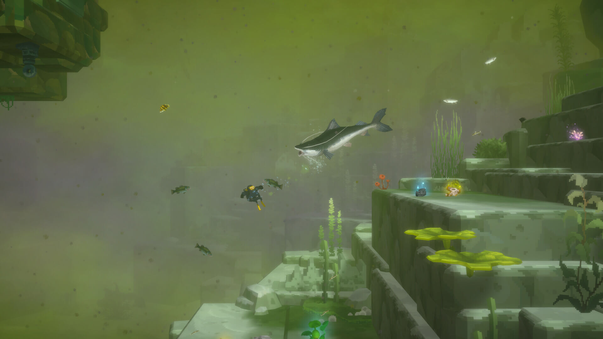 Picture of DAVE THE DIVER - In the Jungle Content Pack Picture of DAVE THE DIVER - In the Jungle Content Pack