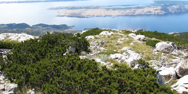 Le Parc national de Velebit du Nord, Croatie | toutes les ...