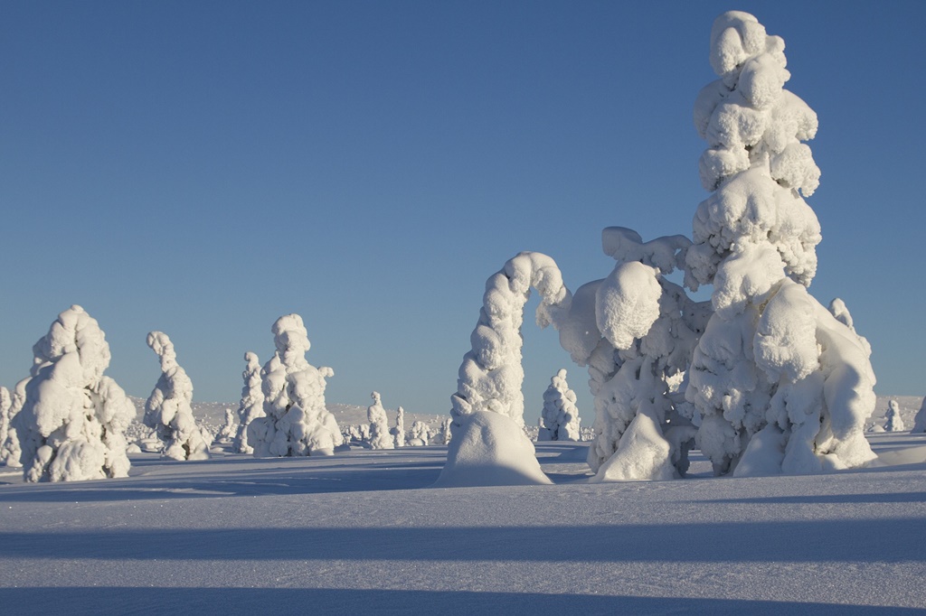 Visit Lapland region Northern lights, ski resorts, national park