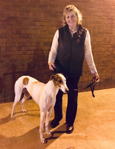 ian greaves greyhounds