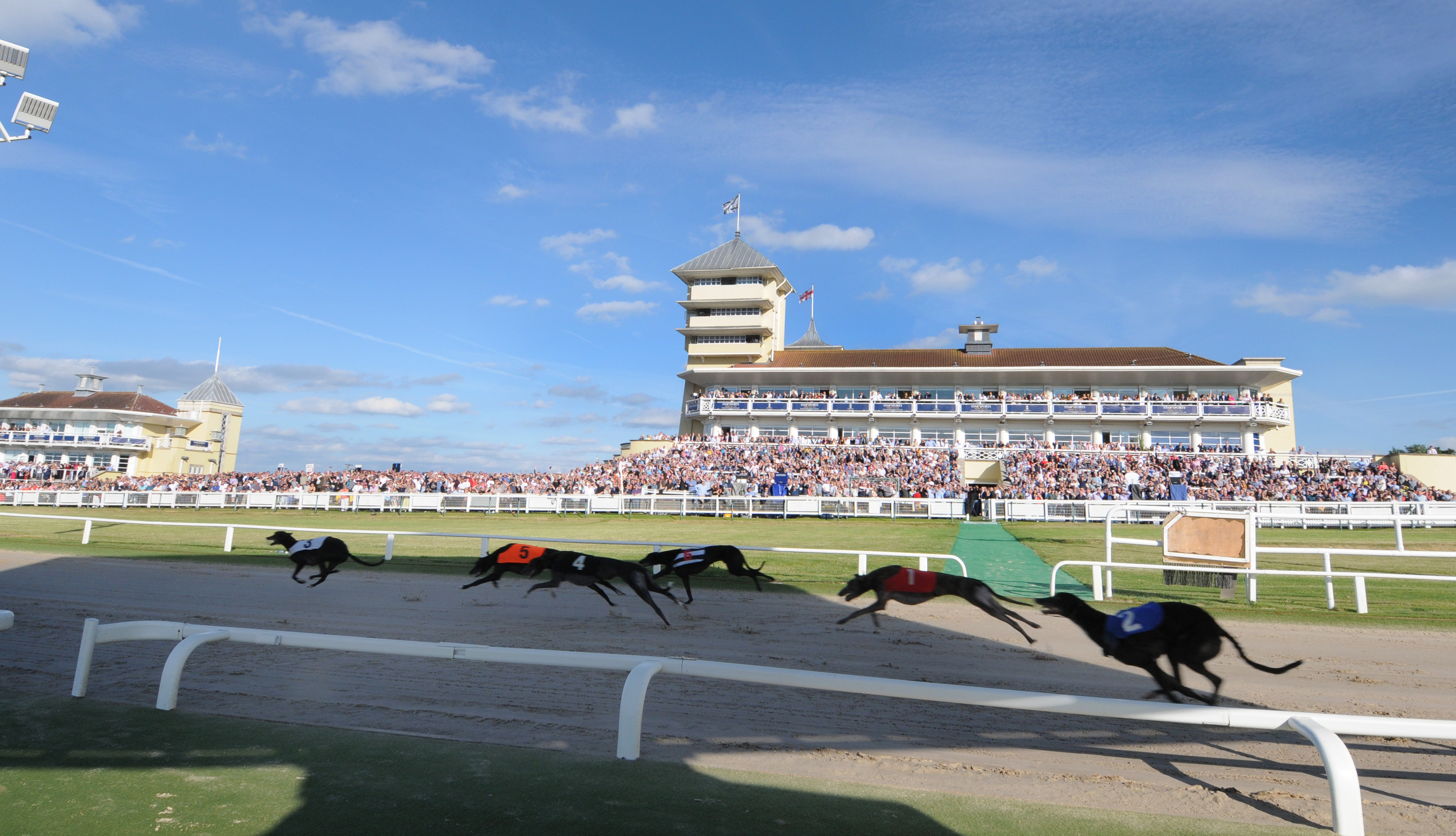 Greyhound Racing Returning to Towcester Greyhound Board of Great Britain