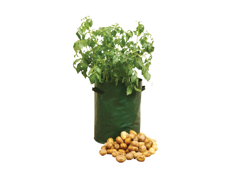 Potato Planter Potato Planter