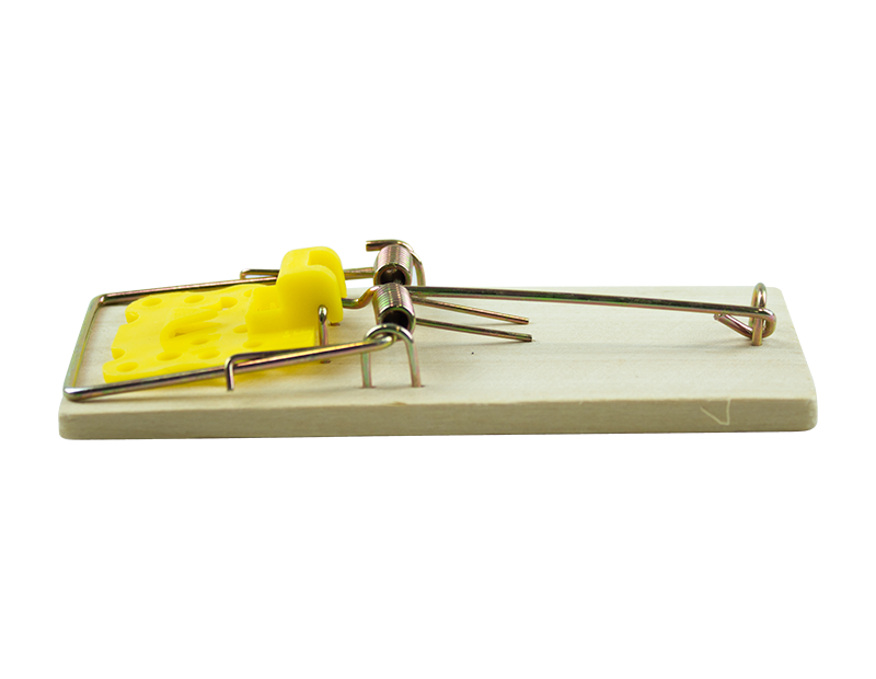 Mouse Traps - 3 Pack Mouse Traps