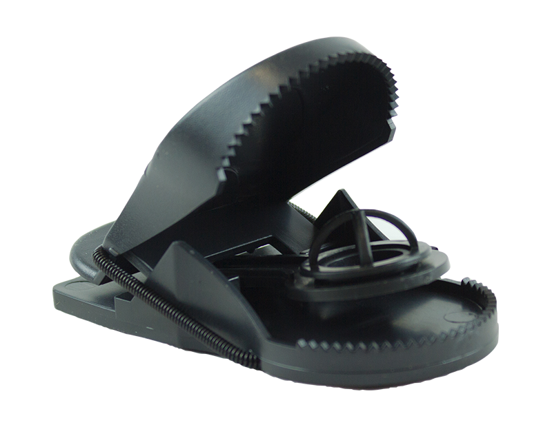 Shark Tooth Mouse Traps - 2 Pack Shark Tooth Mouse Traps