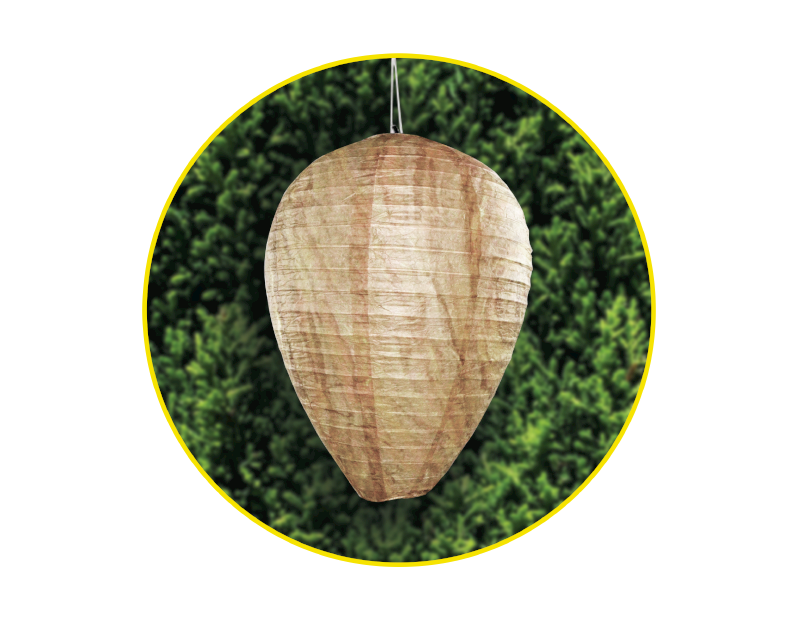 Decoy Wasp Repelling Nest Decoy Wasp Repelling Nest