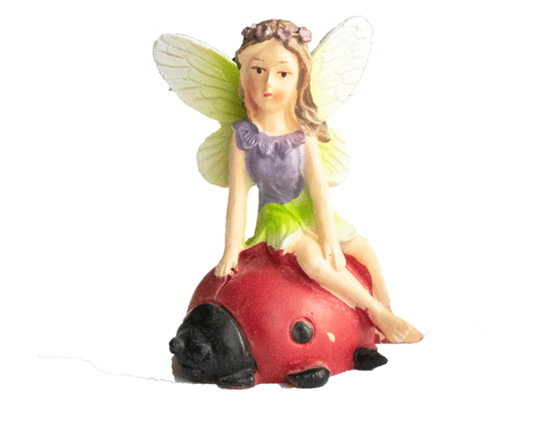 Fairy On Tortoise Snail and Ladybird PDQ Fairy On Tortoise Snail and Ladybird PDQ