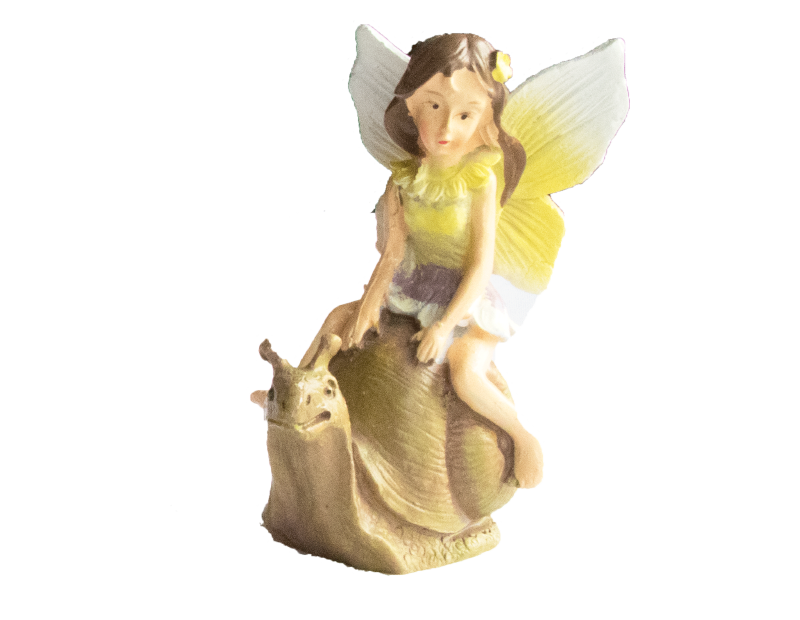 Fairy On Tortoise Snail and Ladybird PDQ Fairy On Tortoise Snail and Ladybird PDQ