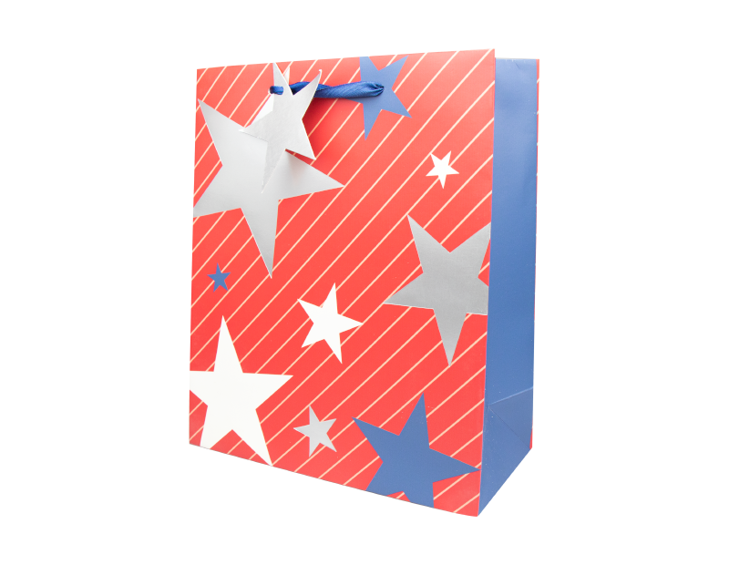 Mens Luxury Medium Gift Bag Mens Luxury Medium Gift Bag