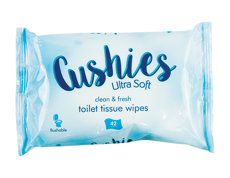 Classic Toilet Wipes - 42 Pack (With PDQ) Classic Toilet Wipes - 42 Pack