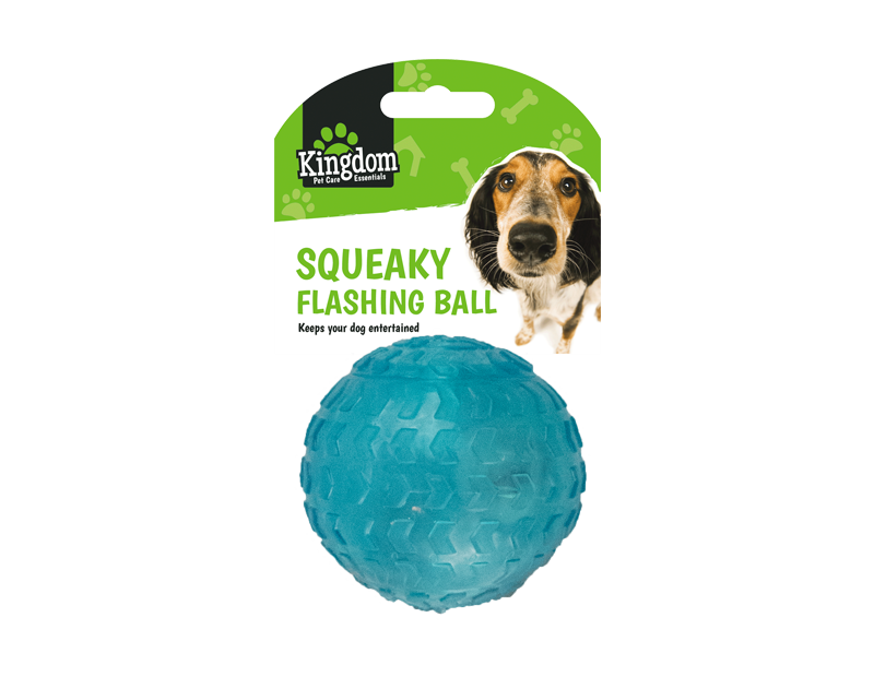 Squeaky Flashing Play Ball Squeaky Flashing Play Ball