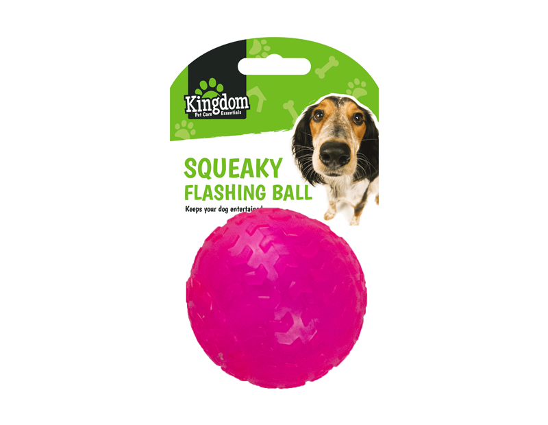 Squeaky Flashing Play Ball Squeaky Flashing Play Ball