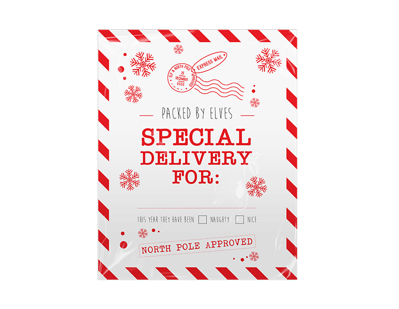 Christmas Printed Santa Sacks - 2 Pack Christmas Printed Santa Sacks - 2 Pack