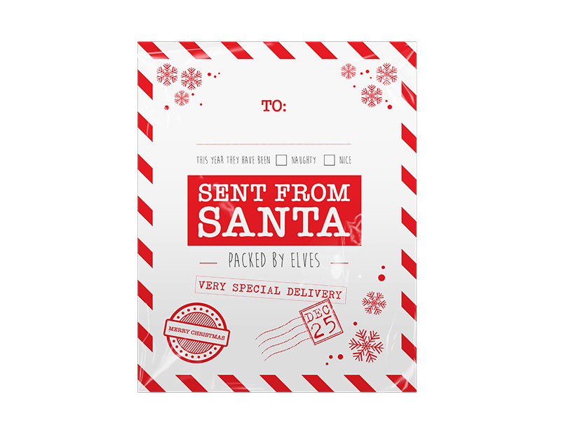 Christmas Printed Santa Sacks - 2 Pack Christmas Printed Santa Sacks - 2 Pack
