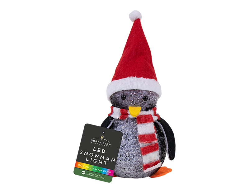 Colour Changing LED Christmas Character With PDQ Colour Changing LED Christmas Character With PDQ