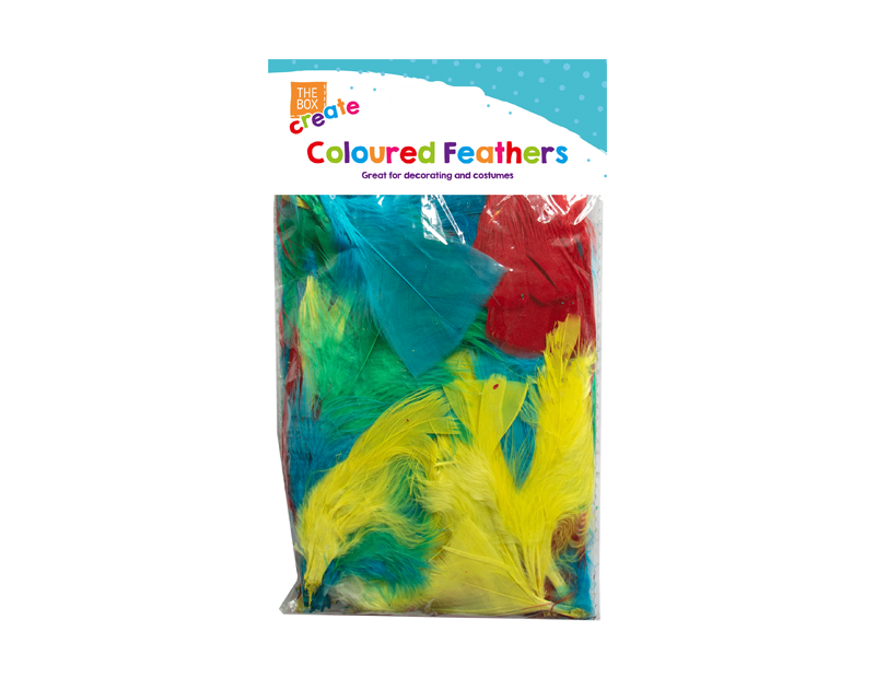 Coloured Craft Feathers - Multi Pack Coloured Craft Feathers - Multi Pack