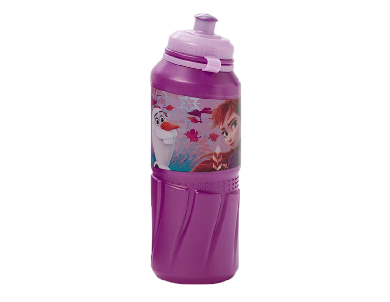 Frozen ll Sports Bottle
