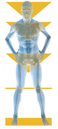 mandiagram