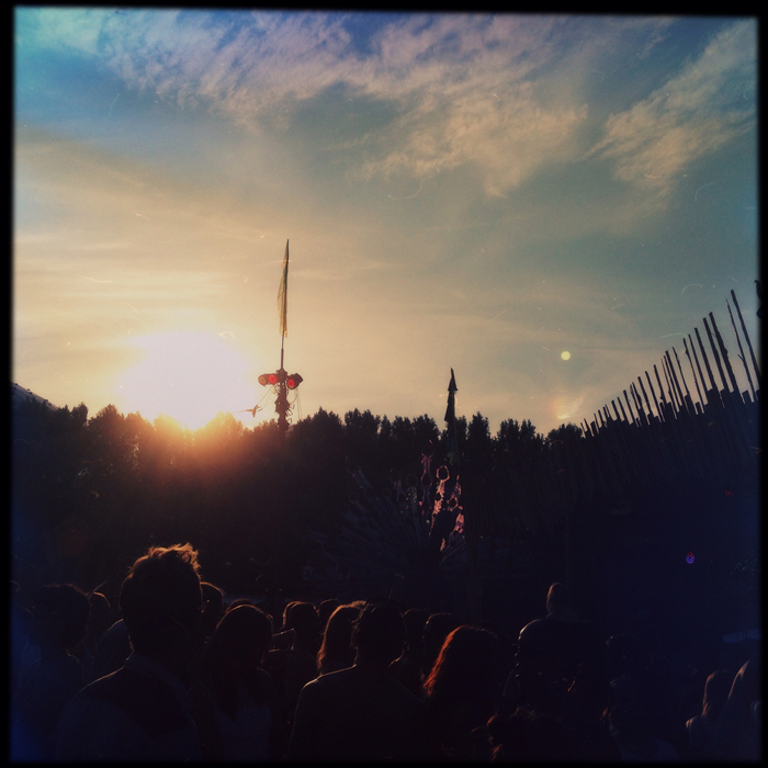 De pauw staat klaar om haar veren te spreiden tijdens de zonsondergang vlak voor de beeldenroute