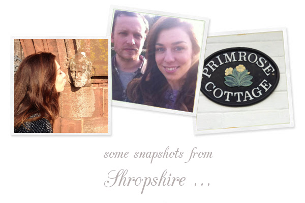 Snapshots