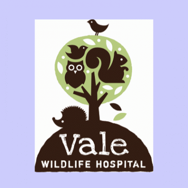 Vale Wildlife Hospital & Rehabilitation Centre