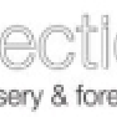 Reflections Nursery & Forest School