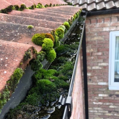 Spot On Cleaning Services