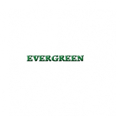 Evergreen Shrubs