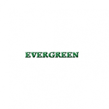 Evergreen Shrubs