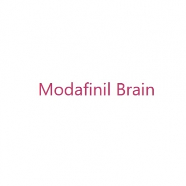 Modafinil Brain