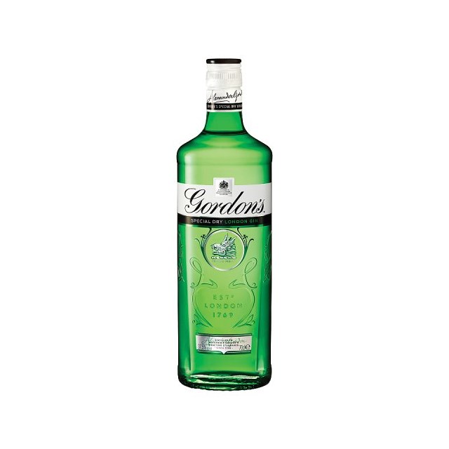 GORDONS GIN SINGLE BOTTLE