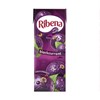 Ribena Blackcurrant Cartons 250ml (24 Pack)