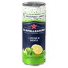 SANPELLEGRINO LEMON & MINT 330ml (12 PACK)