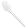 PLASTIC TEA SPOON