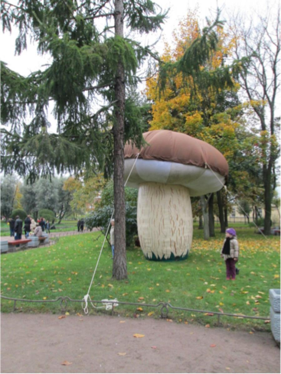 Mushrooms, Chocolate and Vodka