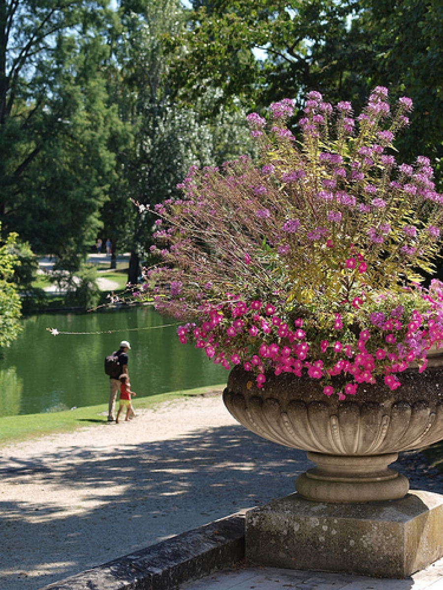 Bordeaux Blog: Chapter 1