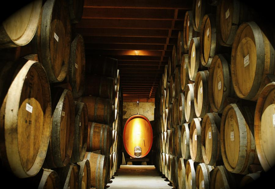 Ella studied in Bologna and interned in Paris and is now a wine journalist and consultant