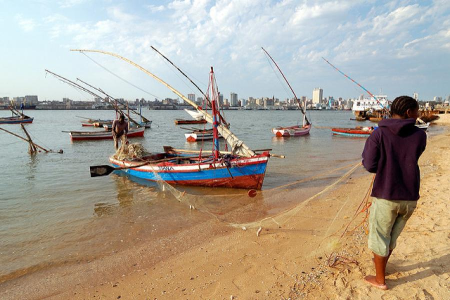 The Mole Diaries: Maputo, Mozambique