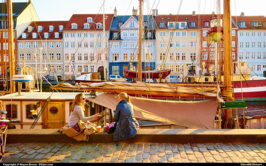 The Mole Diaries: Copenhagen (Volume 2)