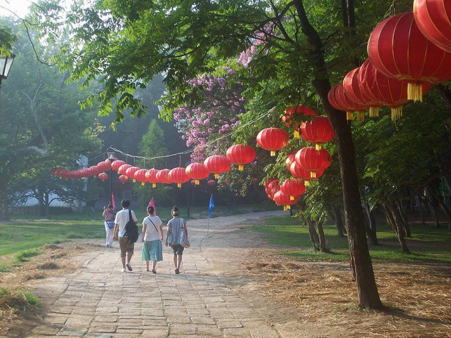 The Mole Diaries: Qingdao